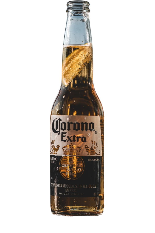 corona beer image